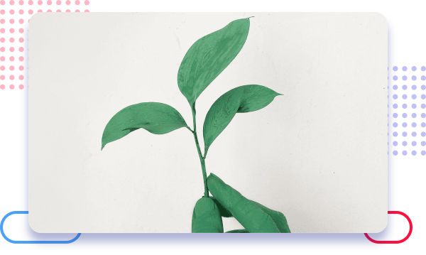 live-green-save-green-unit
